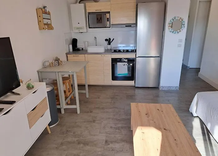 Les Terrasses De La Plage 255, T3 Bien Equipe, Wifi, Parking